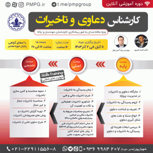 کارشناس دعاوی و تاخیرات